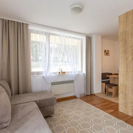 Apartman Homey At Pirin Sense - - Free Parking Banszko